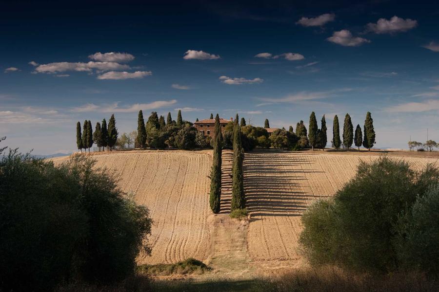 Ploughed field lines converging on a farmhouse